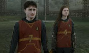 Harry and Ginny Playing Quidditch