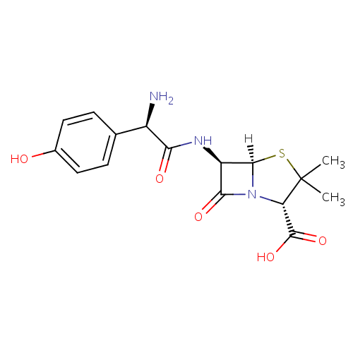 Struktur Kimia Amoxicillin (Amoksisilin) dan Rumus Kimia Amoxicillin