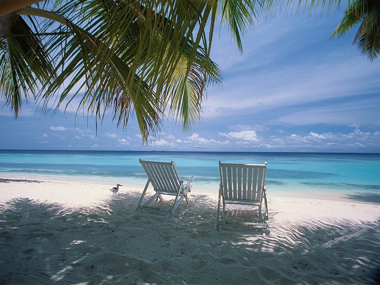 island florida world visits sanibel island in florida usa wonderful attractions island florida world visits sanibel island in florida usa wonderful attractions
