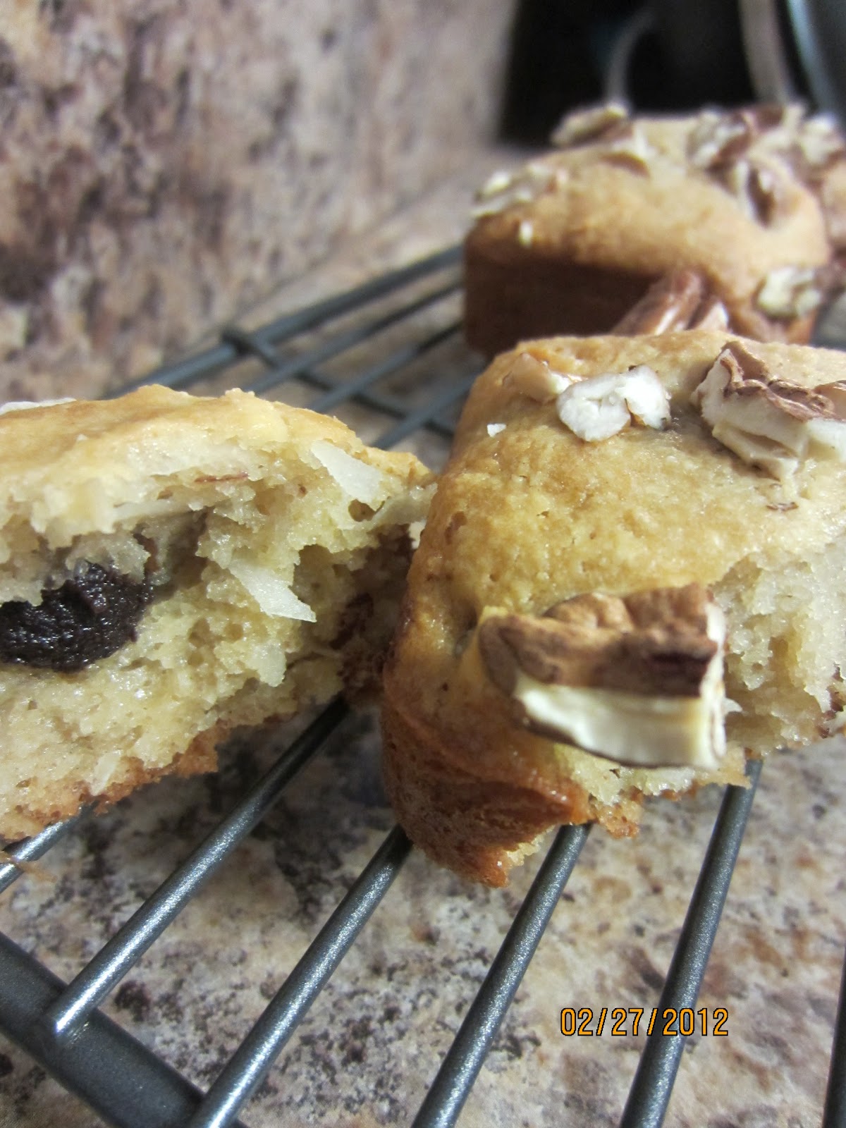 Easy Peasy Paleo Dark Chocolate Chip Muffins