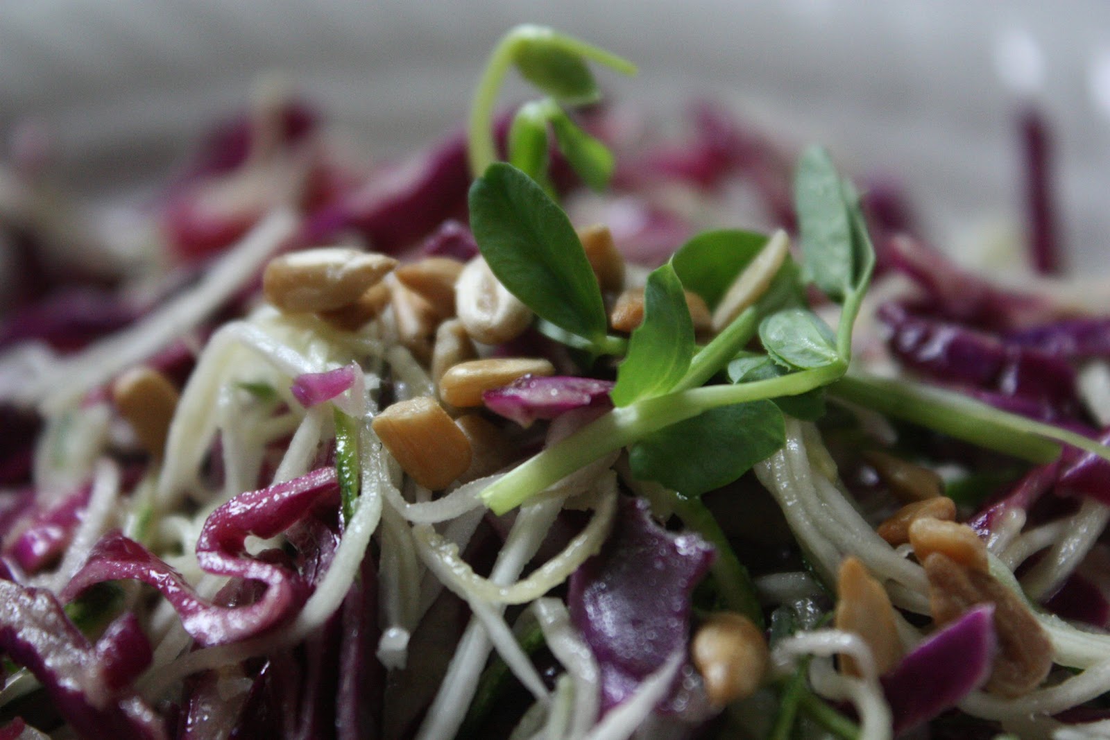 LowCarbing It Red Cabbage and Zucchini Slaw