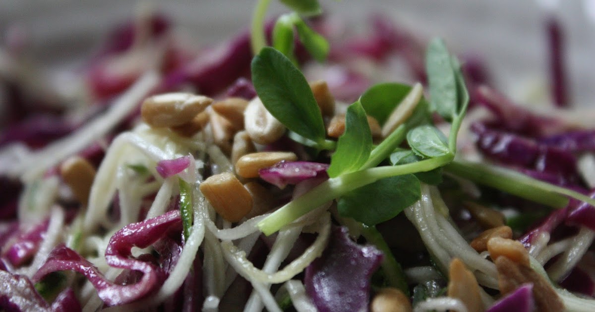LowCarbing It Red Cabbage and Zucchini Slaw