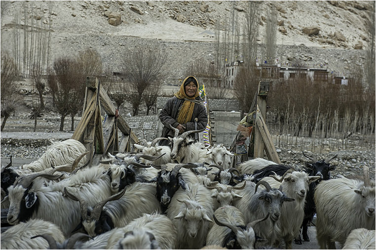 emerging photographers, Best Photo of the Day in Emphoka by withManish.com, https://flic.kr/p/rwmSAo emerging photographers, Best Photo of the Day in Emphoka by withManish.com, https://flic.kr/p/rwmSAo