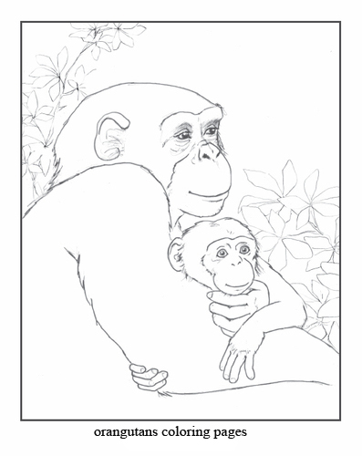Animals Coloring Pages Orangutans Coloring Pages Ideas