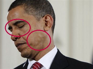 ghost hunting theories humanoids among us is obama a reptilian