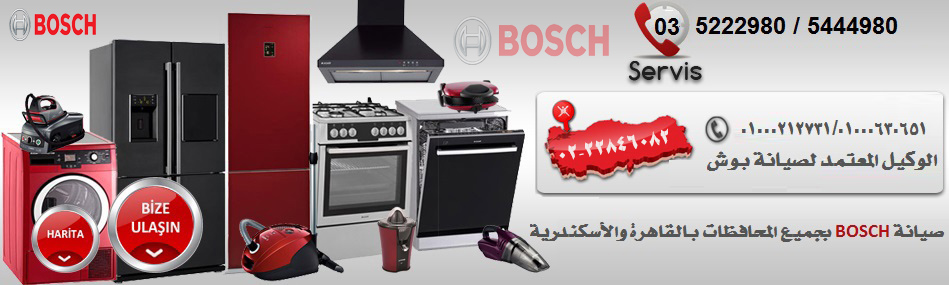 Bosch Maintenance 01000212731