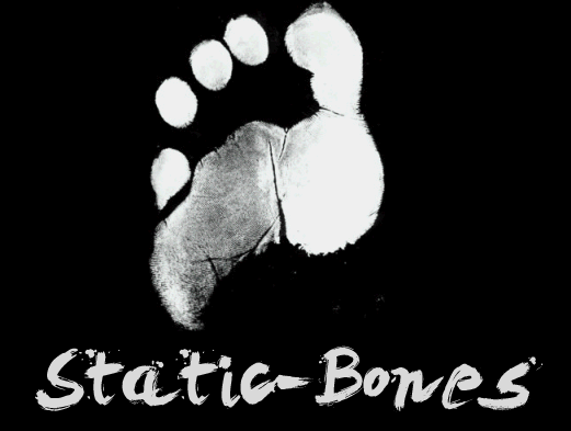Static Bones