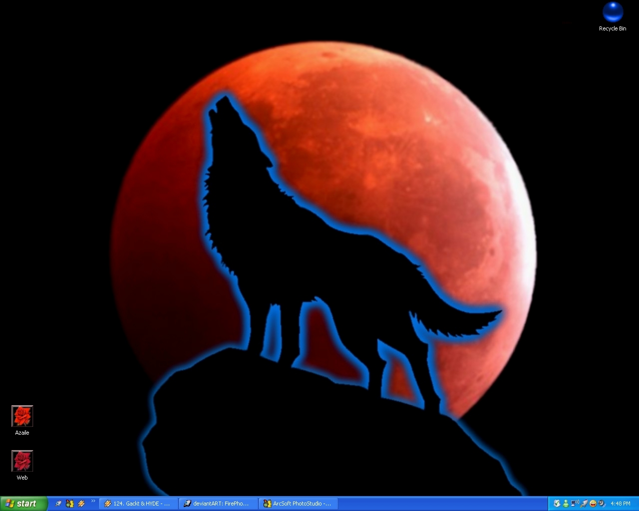 bozkurtlar gok kurt resimleri