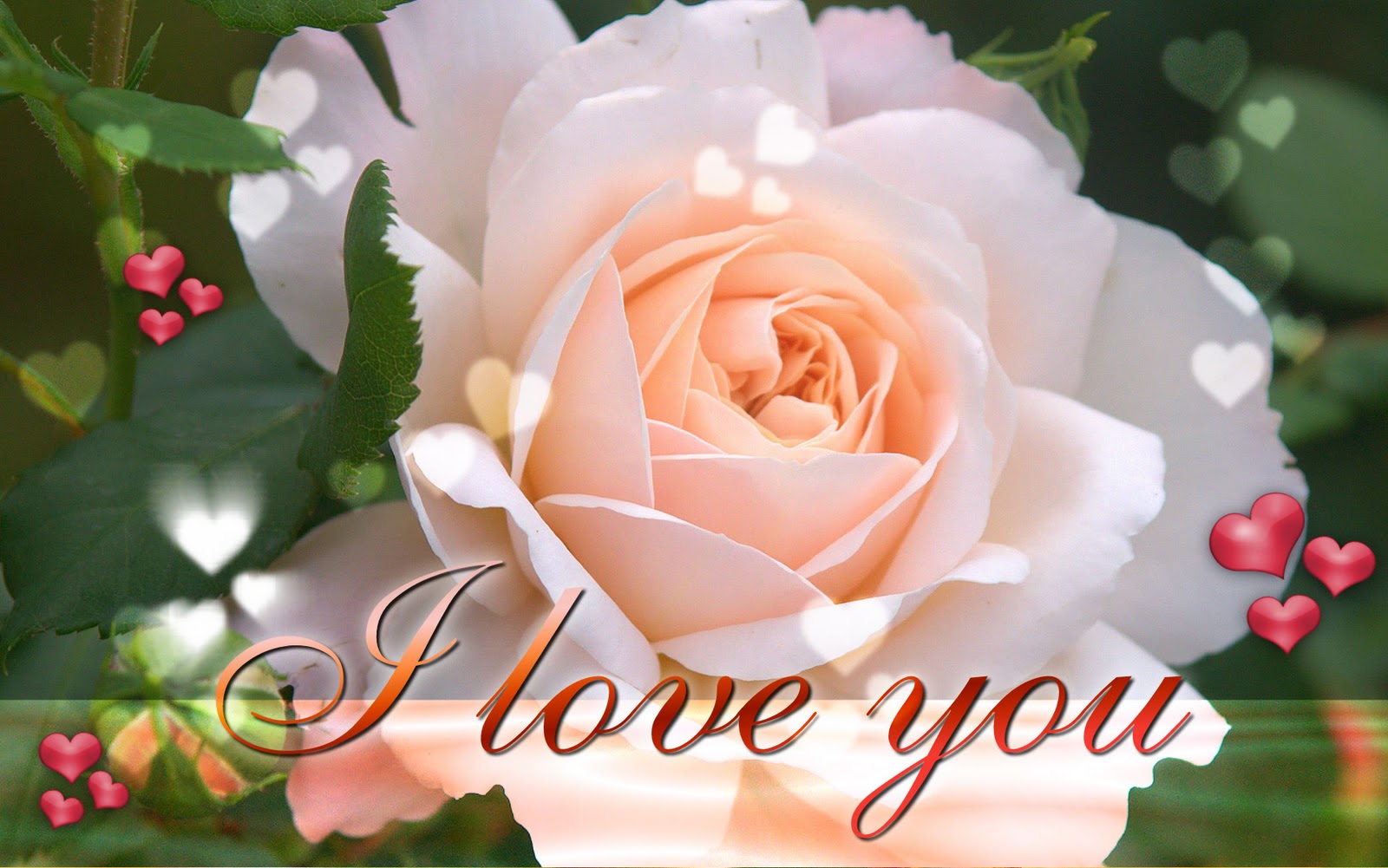 flower love wallpaper