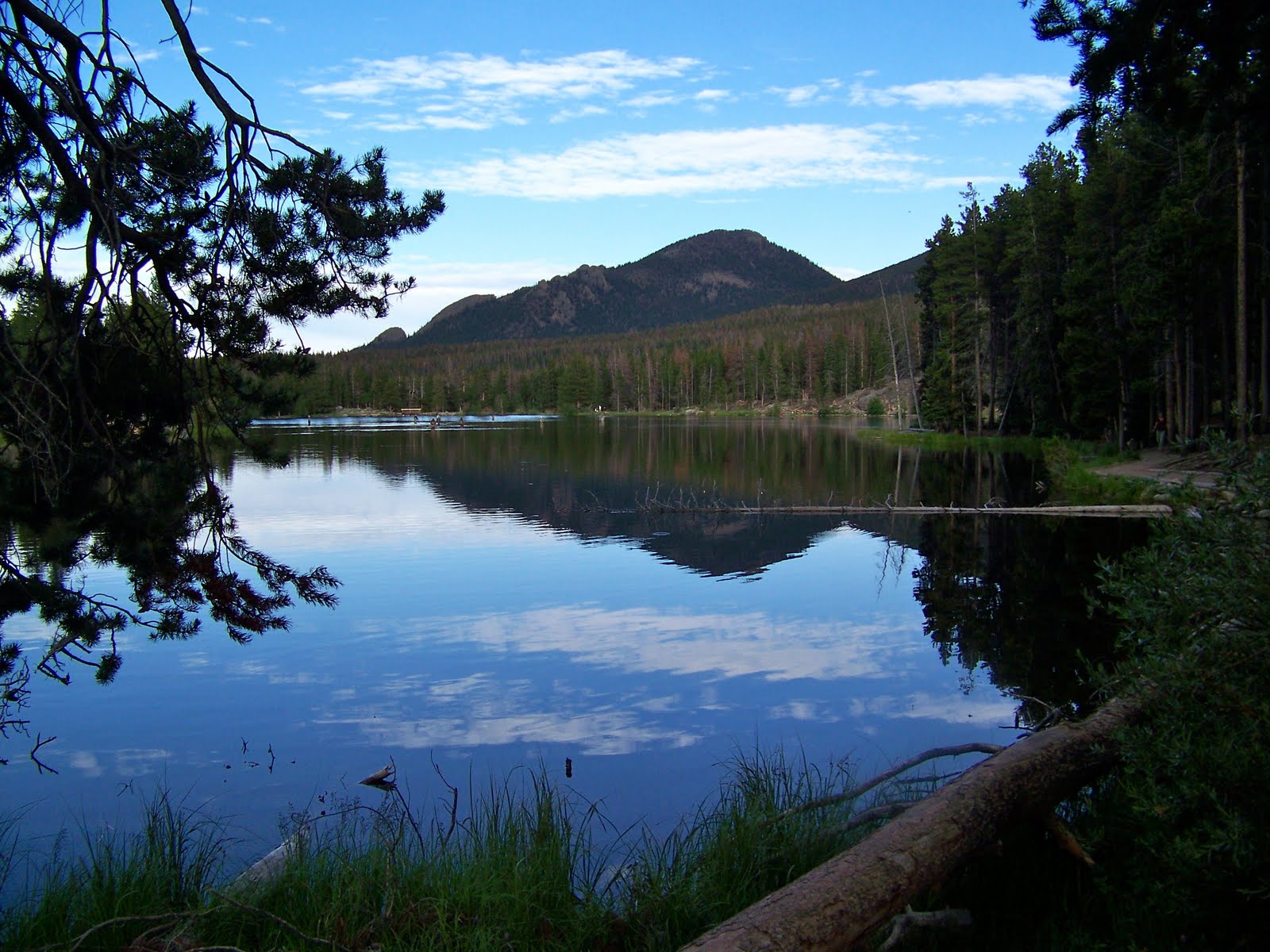 Our Nature Sprague Lake in the Rocky Mountain National Park