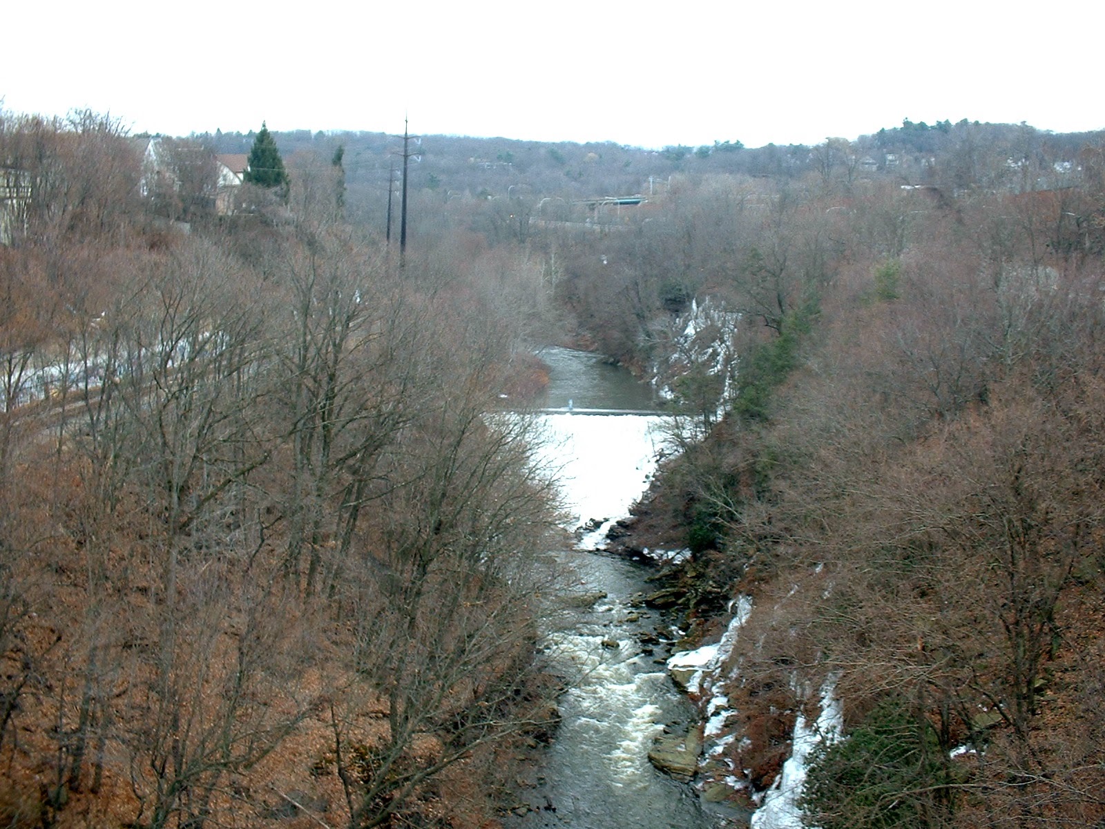 Frank's Place Roaring Brook