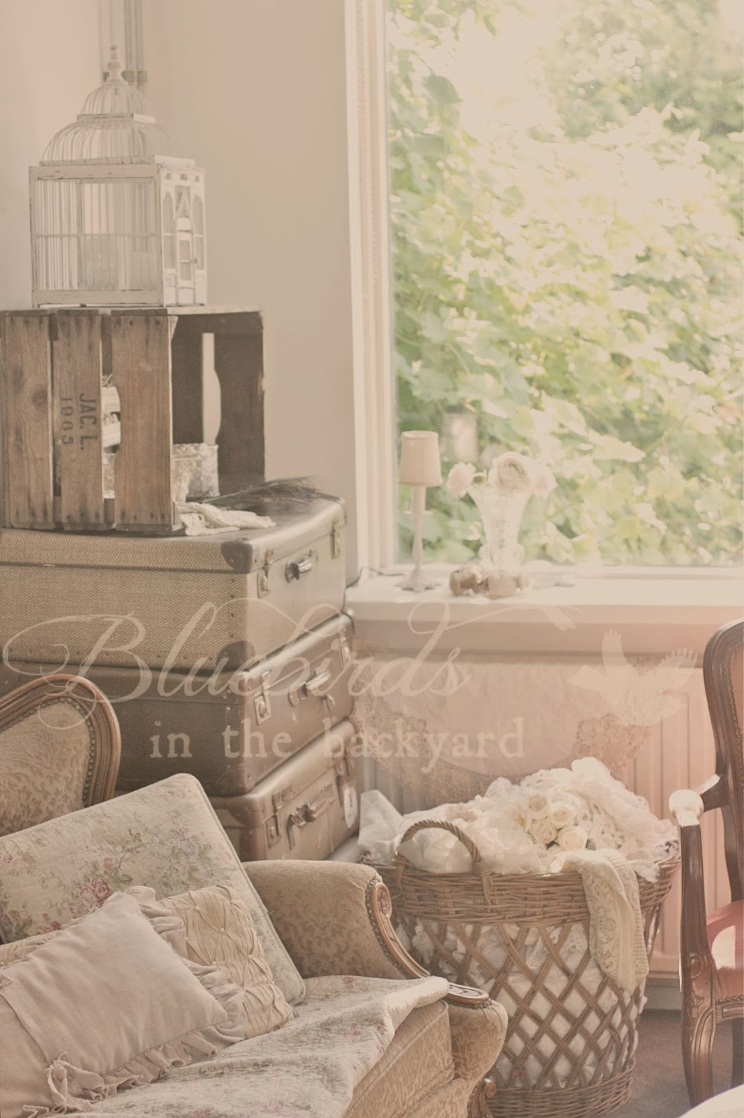 Bluebirds in the backyard: vintage suitcases
