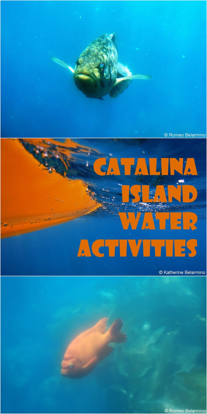 Exploring Catalina Island’s Deep Blue Sea Travel the World