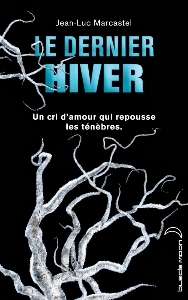 http://lesouffledesmots.blogspot.fr/2014/03/le-dernier-hiver-jean-luc-marcastel.html