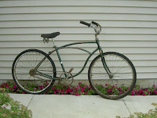 Abandoned Schwinn Tiger