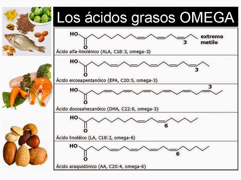 Farmacia Antonio Busto Cuíñas Ácidos grasos Omega 3. Beneficios para