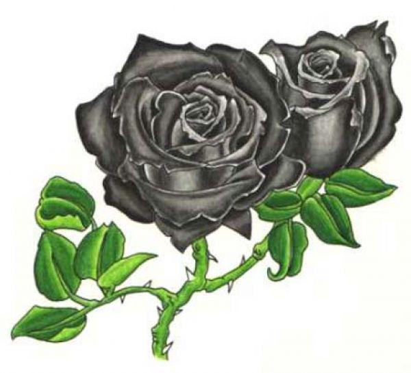 tatuajes de rosas negras Nitro Tattoos España - Tatuajes Rosas Negras Imagenes