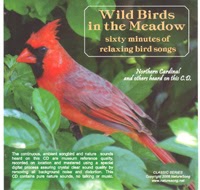 birds meadow wild