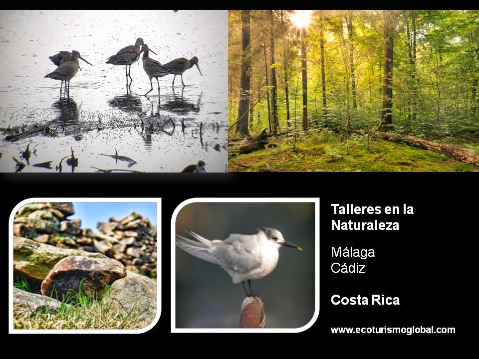 www.ecoturismoglobal.com