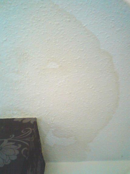 ceiling damp