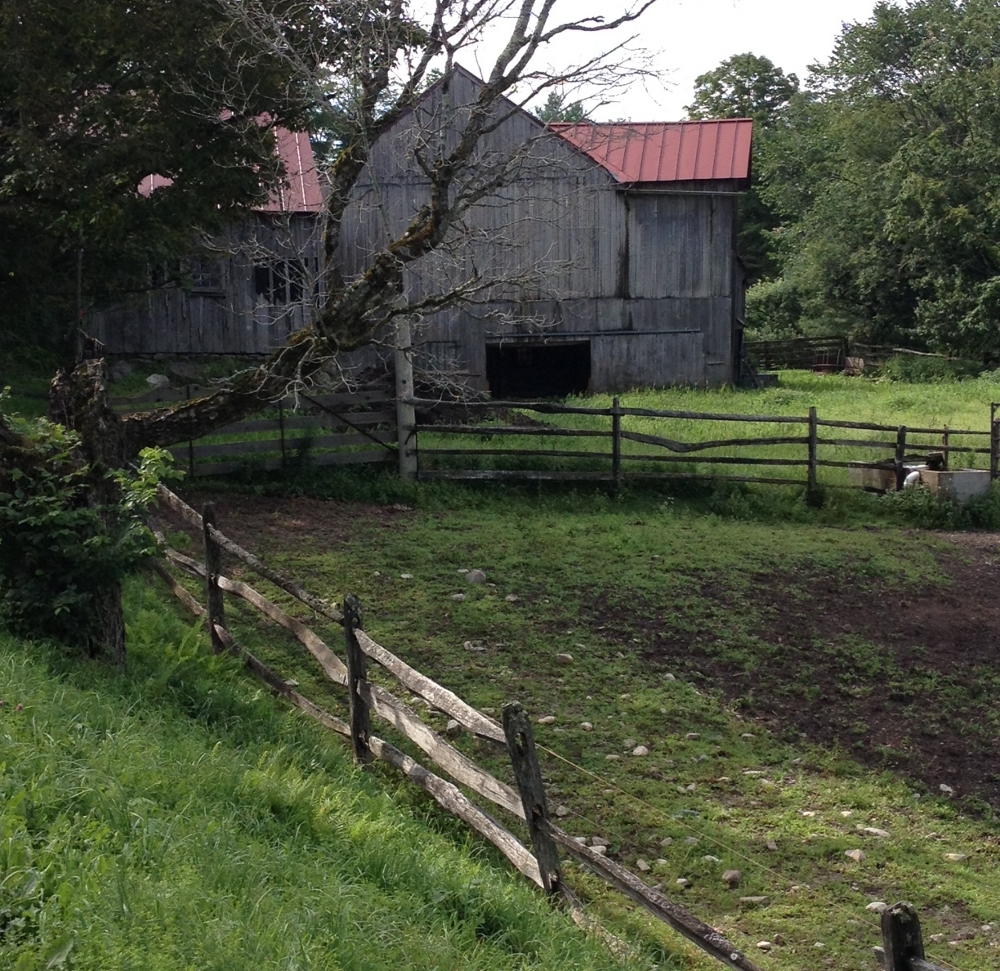 qianghuang, a daily painter "Landgrove Vermont"