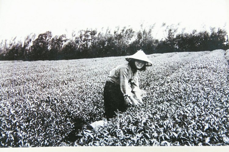 ★桃園龜山古今對照 徵求老照片