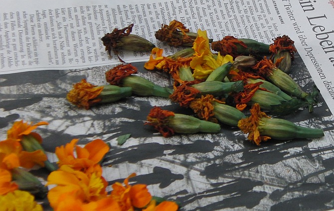 Berlim Alexanderplatz