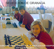 SELECCIÓN DE GRANADA