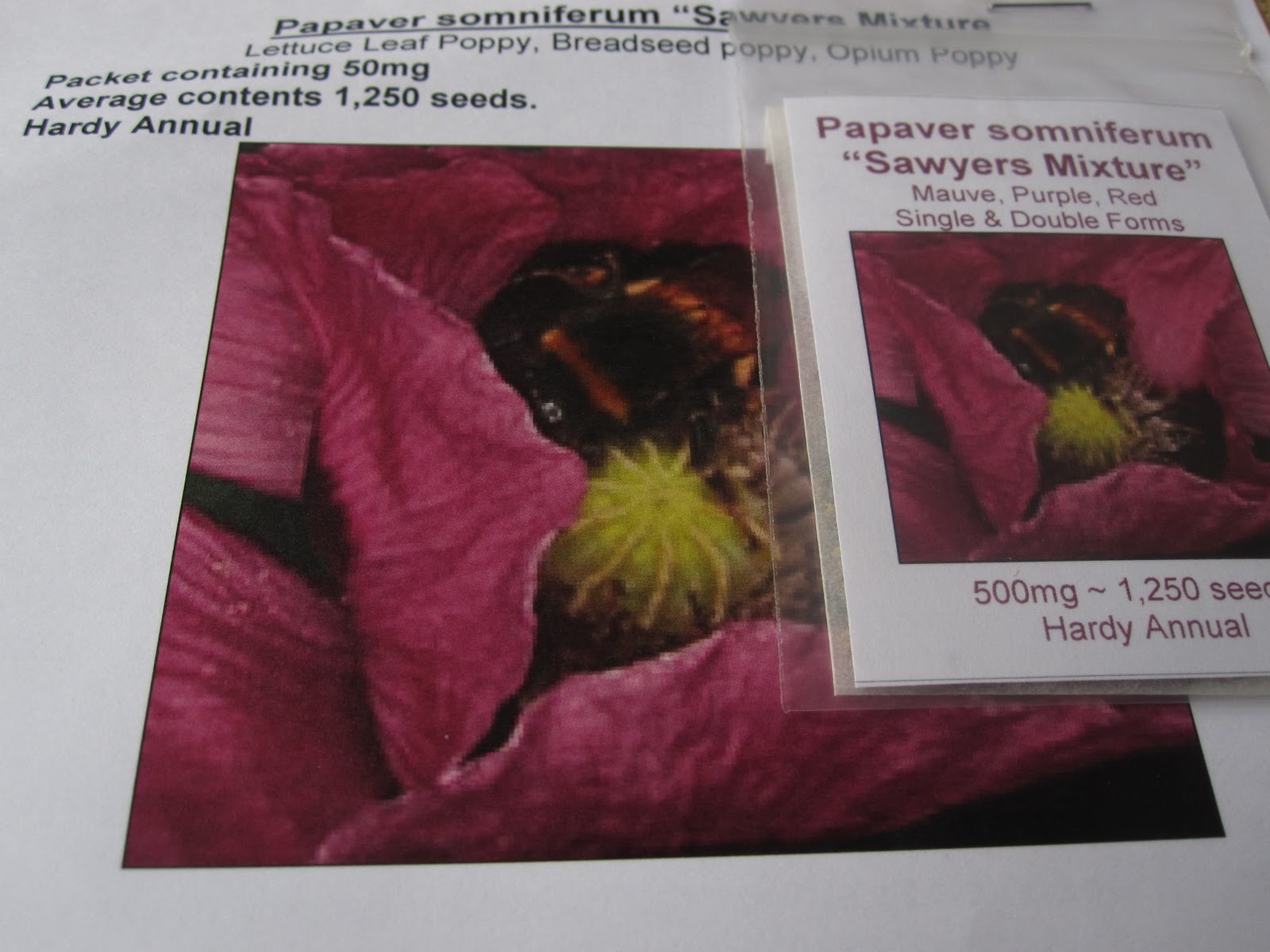 the cut flower series suppliers of seeds, bulbs and plants Wild Acre