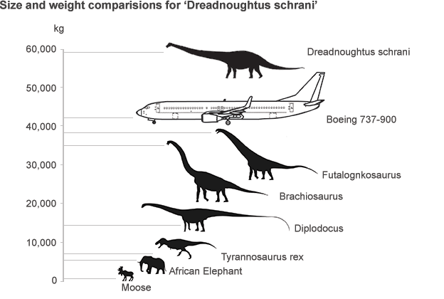 Dreadnoughtus-size_20140904_624.gif