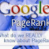 Why Bloggers Concerned about PageRank Update and You Should too