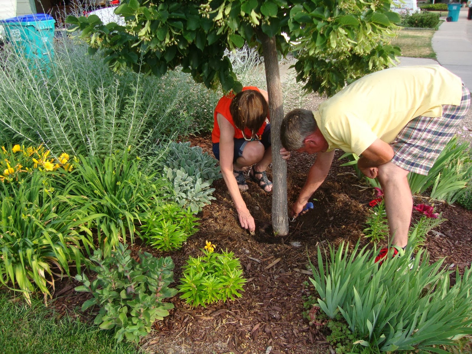 Landscaping Tips Removing Tree Stumps From Your Lawn or Backyard