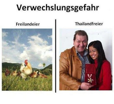 Verwechslungsgefahr: Freilandeier und Thailandfreier