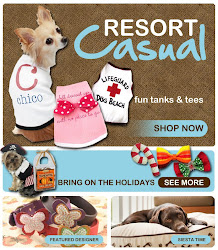 Visit Cabo Dog