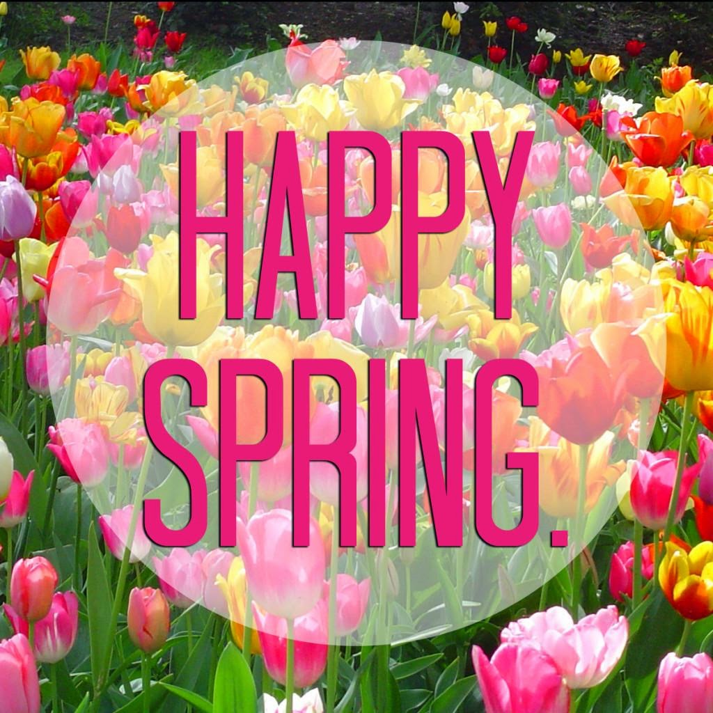 Hello Everyone!: Happy Spring and Student’s Day!!