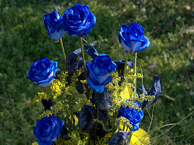 Knumathise Real Blue Roses For Sale Images