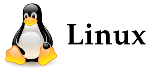 Dos Windows Dan Linux Merupakan