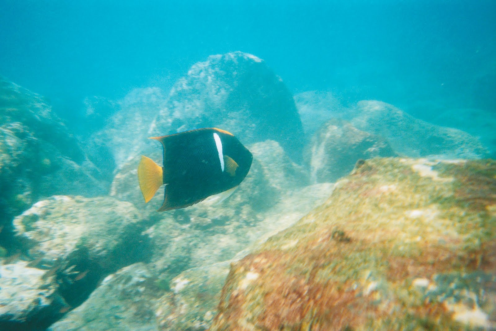 Dirk In Ecuador 06 2011