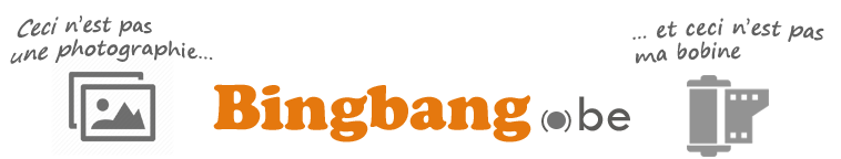 BingBang