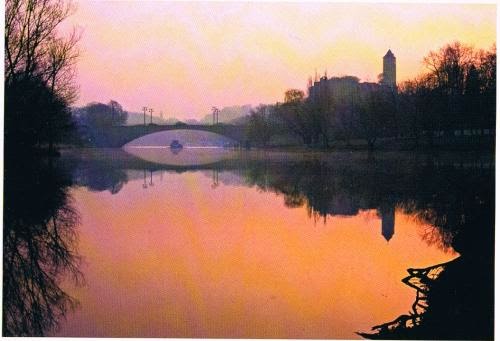 The Glasshouse Susanne Hopmann