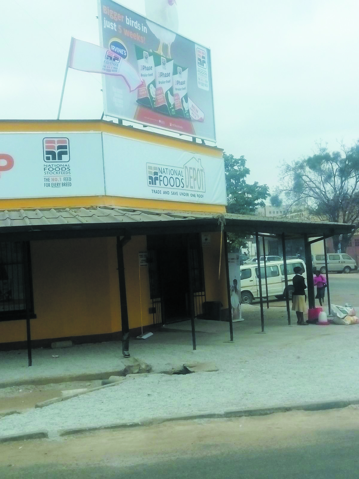 Miami S 35th Annual Greek Festival