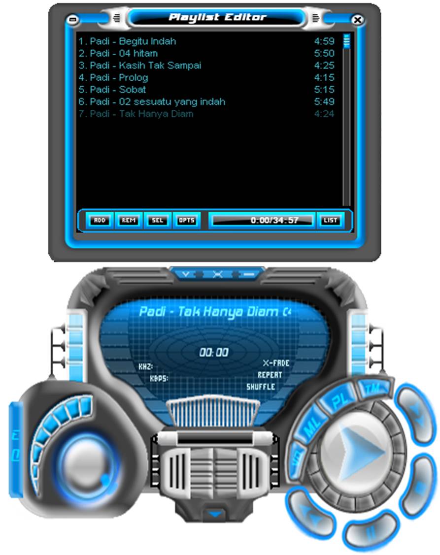 Skin Winamp