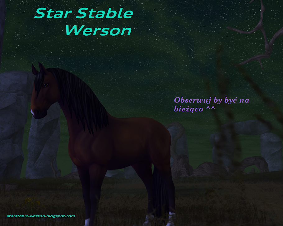 Star Stable Werson