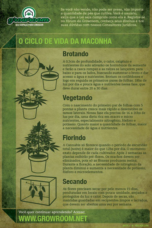 Não compre, Plante!