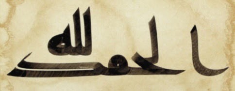 bulmaca ansiklopedisi