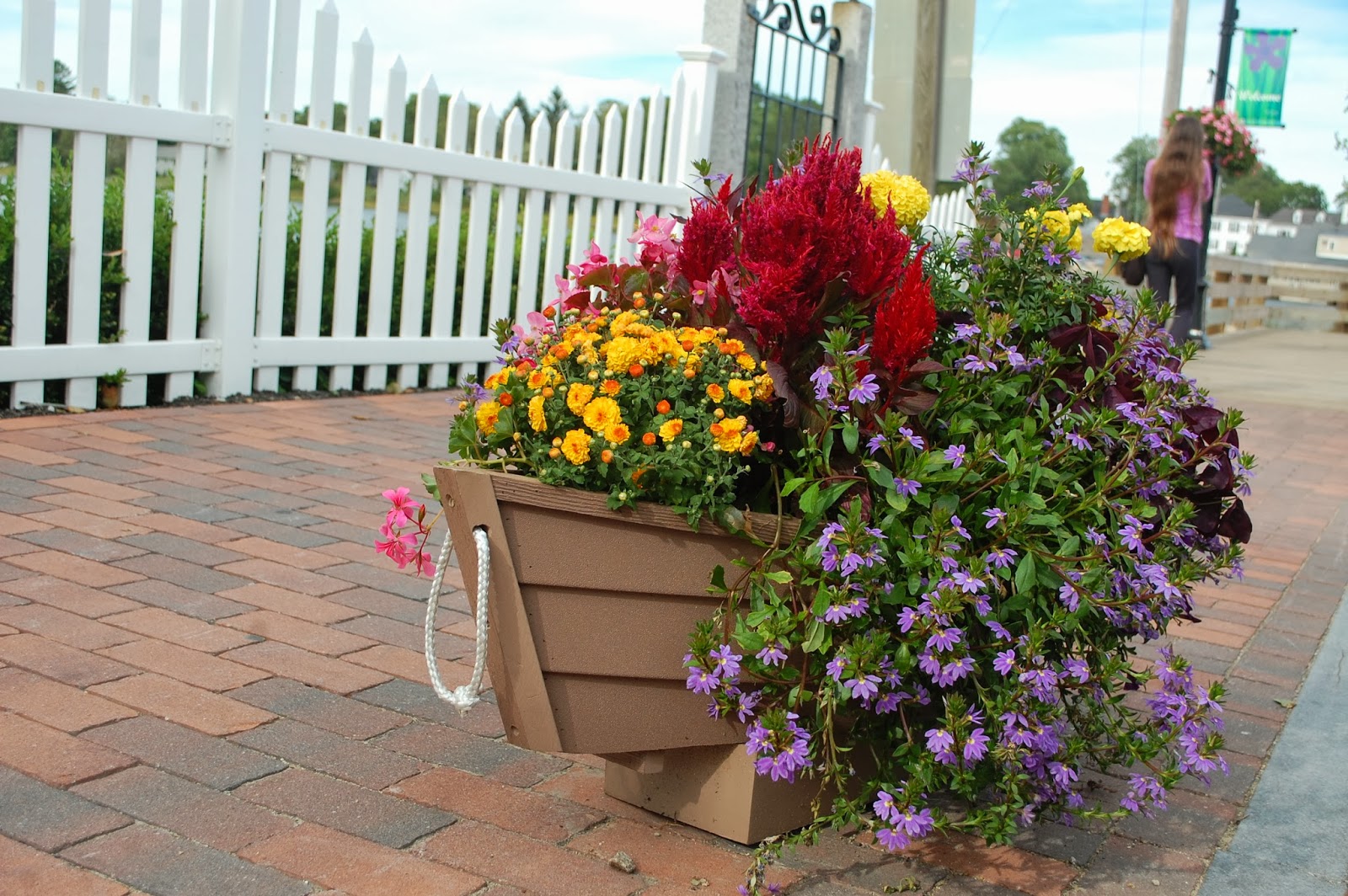 Sprouts Flowers Around Town Beautiful Kennebunkport, Maine