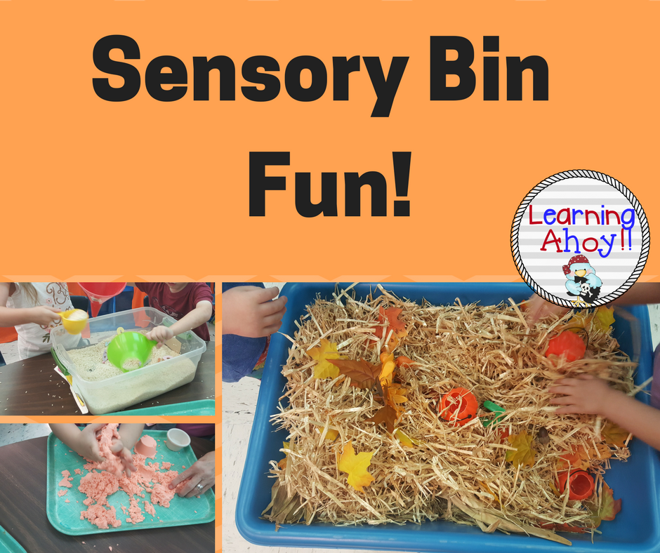 Sensory Bin Fun!