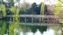 Très agréable promenade autour du lac