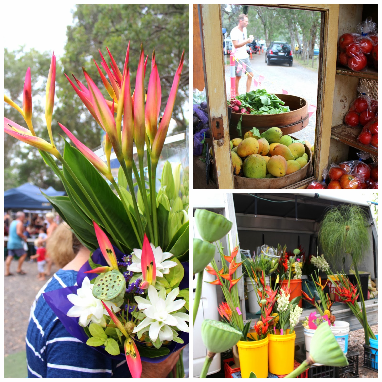 Desire Empire Eumundi Markets and Noosa Farmers' Market