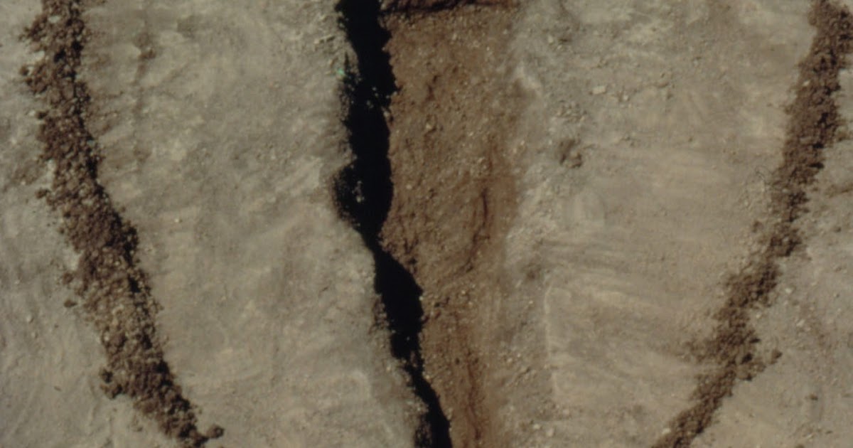 Ana mendieta feminist art image